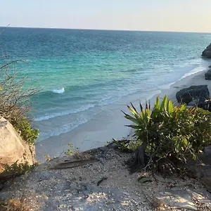 Apartment 204 In Community Grand Sirenis, Akumal