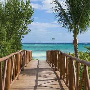 5* Курортный комплекс Unico Riviera Maya Adults Only